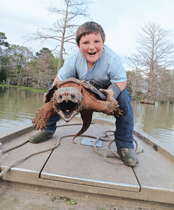 Colt Smith, 9, of Eunice, caught a 50 lb. snapping turtle on March 10 in the Jeff Davis Parish Swamp. Colt has been running catfish nets with his father, Sam Smith, a commercial fisherman, and this year began running a few nets of his own. (Submitted photo)