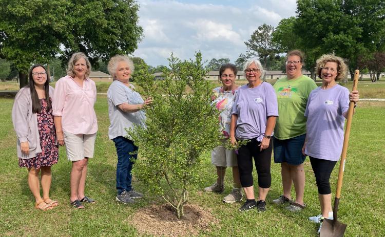 Members present for Arbor Day planting were Sarah Bollich, left, Martha Guempel, Debbie Cristiano, Donna Baltakis, Fran Guillory, April DeRouen and Celeste Gomez.  (Submitted photo)