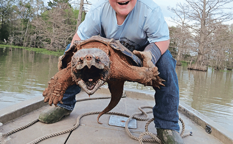 Colt Smith, 9, of Eunice, caught a 50 lb. snapping turtle on March 10 in the Jeff Davis Parish Swamp. Colt has been running catfish nets with his father, Sam Smith, a commercial fisherman, and this year began running a few nets of his own. (Submitted photo)