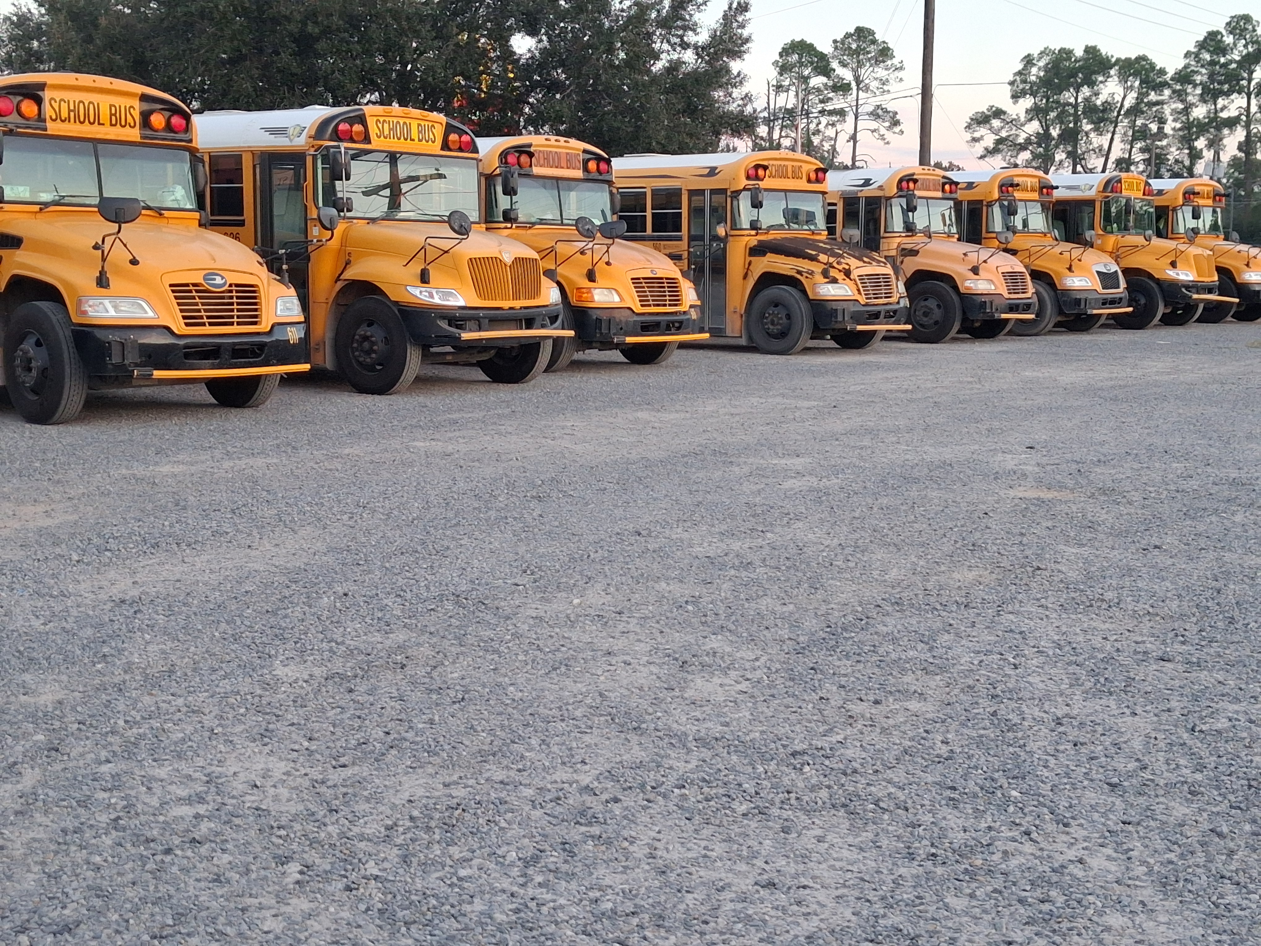 School Bus