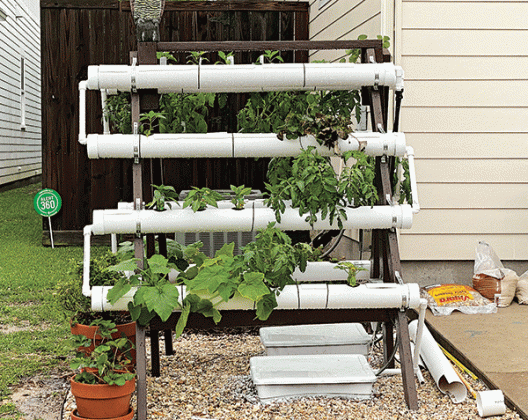 By Heather Kirk-Ballard  LSU AgCenter horticulturist  When gardeners think of micro gardens, they may think of micro greens — but micro gardening is so much more than that.   Shrinking lot sizes and growing urban sprawls are leaving less room for vegetation, and that raises a challenge for both urban and suburban gardeners. They will have to grow to meet these changes.   Micro gardening is a method of gardening that is ideal for those with limited or nontraditional spaces to plant and grow vegetables, fruit
