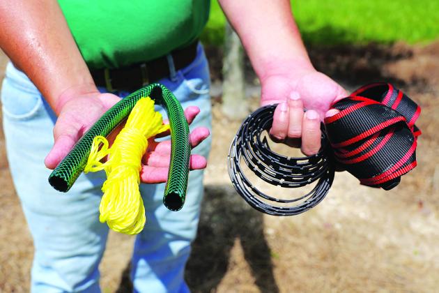 At right, Damon Abdi, assistant professor of landscape horticulture at the LSU AgCenter Hammond Research Station, displays a variety of materials that can be used to connect trees to their stakes. From left are thin rope to be threaded through a piece of hosepipe barrier, plastic chain locks and woven straps. (Photos by Olivia McClure/LSU AgCenter)