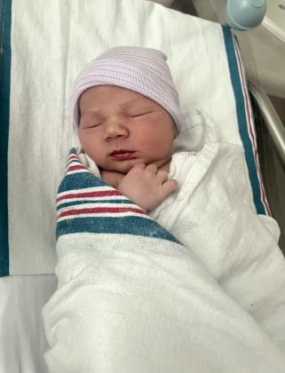 Callahan James Vizena