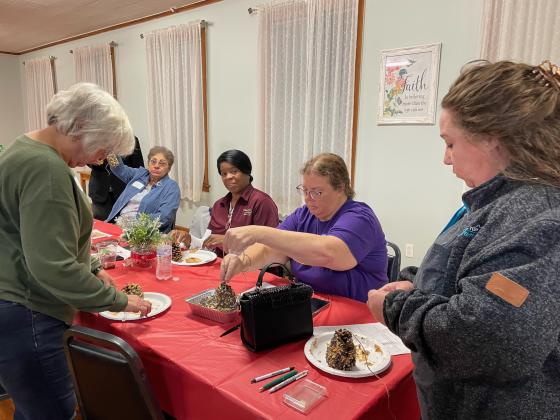 Bulb and Blossom Garden Club members created hanging bird feeders using pine cones slathered with peanut butter and rolled in bird seed.