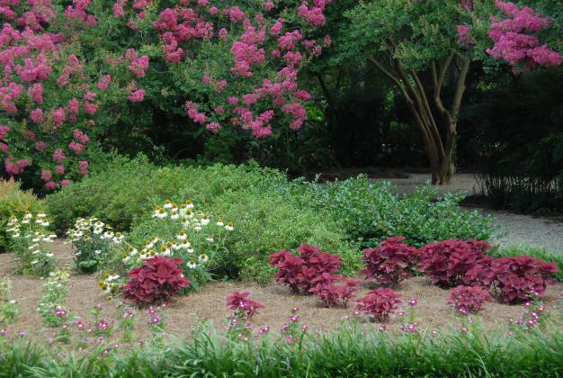 A beautiful stroll in a botanic garden can be wonderful Valentine’s Day surprise.