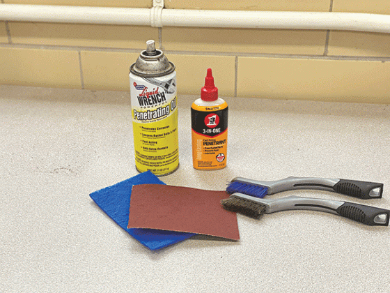 Brushes, scouring pads, sandpaper and lubricating oils are best for hand pruner maintenance. (Photos by Heather Kirk-Ballard/LSU AgCenter)