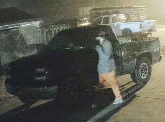 Acadia Parish Sheriff’s detectives are requesting the public’s assistance with vehicle burglaries that occurred in the northern part of Acadia Parish.  During the late evening of Feb. 10 and early morning hours of Feb. 11, two suspects were captured on video surveillance entering unlocked vehicles in the East Ardoin and Perchville Road area of Acadia Parish. During this criminal activity, two firearms were stolen. They are described as a Ruger LCP .380 and Ruger P90 .45 caliber guns.  Anyone with informatio