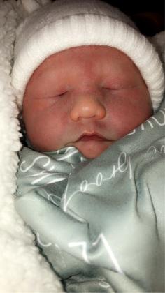 Levi Brooks Willis
