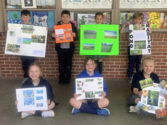 St. Ed second graders study habitats