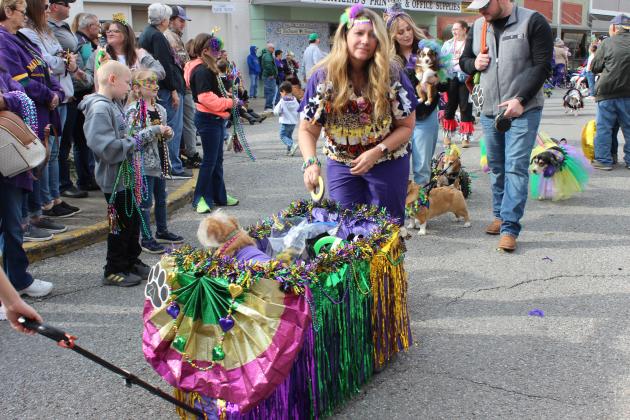 A parade of canines was seen Saturday afternoon on downtown S. 2nd Street as the seventh annual Parade of Paws was held.
