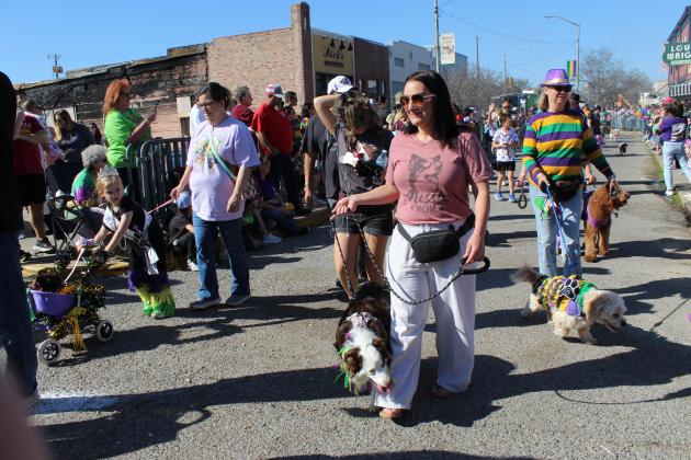 The ninth annual Parade of Paws was held Sunday afternoon at downtown 2nd. The dog parade began at North 2nd near Beaucoup’s and continued down Second and then one block of Park Avenue and concluded at the Fred Charlie band stage.