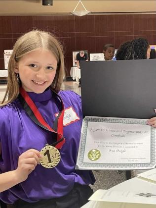 Ava Daigle