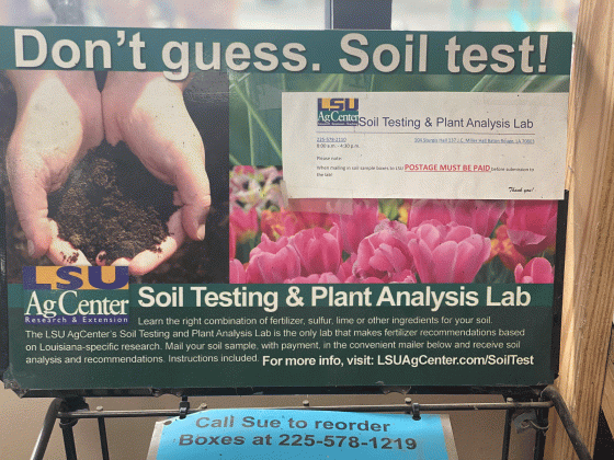 Fertilize responsibly by conducting soil tests to help determine the need for fertilizer. You can send samples to the LSU AgCenter for testing.