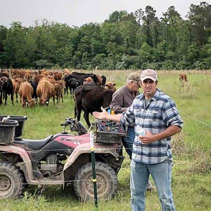 Vernon and Justin Fuselier initially adopted LSU Professor Emeritus Malcolm Vidrine’s approach to rebuilding land as Cajun prairie for bird hunts and cattle grazing. It has since “transformed everything we do,” according to the father-and-son team. They now direct-market their own grass-fed beef and chemical-free rice and crawfish. Justin Fuselier is a horticulturist and LSUE-LSU graduate. (Photo courtesy of Justin Fuselier)
