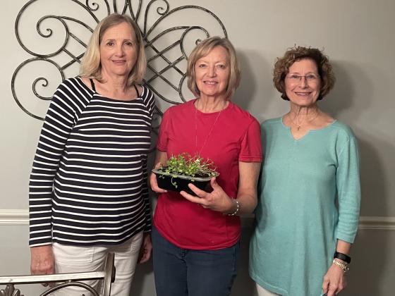 Stephanie Guillory, a Master Gardener and former garden club member was the guest speaker at the March Bulb &amp; Blossom Garden Club meeting. From left, are Martha Guempel, Guillory, and Celeste Gomez. (Submitted photos)