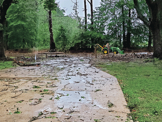 Clearing debris on the Perchville Road after Wednesday’s storm. (Photo submitted by Sarah Froehlich.