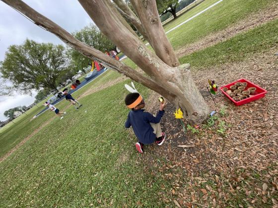 Easter Egg hunt at Highland.