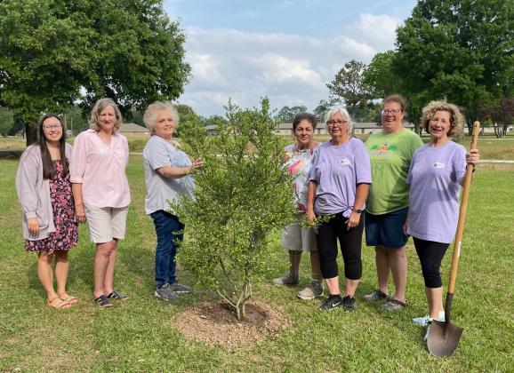 Members present for Arbor Day planting were Sarah Bollich, left, Martha Guempel, Debbie Cristiano, Donna Baltakis, Fran Guillory, April DeRouen and Celeste Gomez.  (Submitted photo)