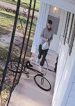 Burglary suspect