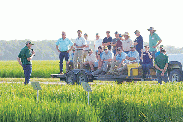 The LSU AgCenter H. Rouse Caffey Rice Research Station will hold its 115th annual field day June 25. In this photo, Adam Famoso, AgCenter rice breeder and resident coordinator of the station, addresses attendees at the event last year. (LSU AgCenter file photo)