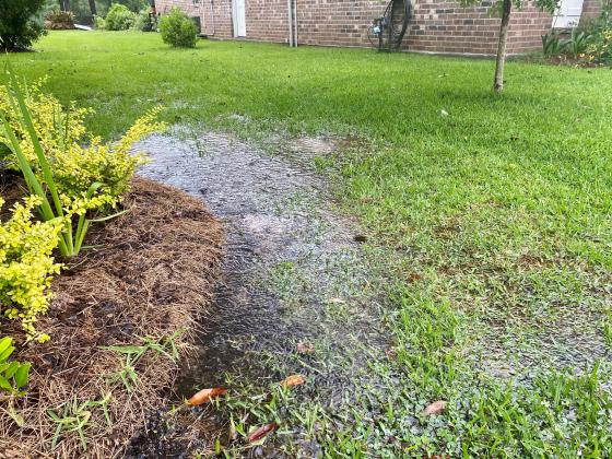 Drainage