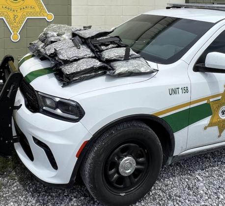 Seized marijuana on the hood of a St Landry Parish Sheriff’s patrol vehicle. (Photo courtesy of the St. Landry Parish Sheriff’s Office)