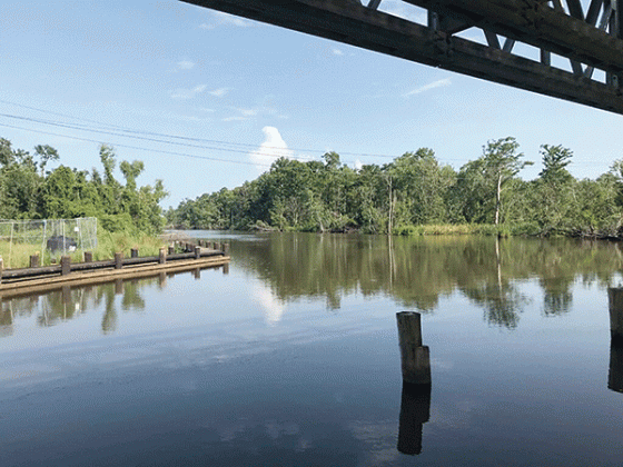 This portion of Bayou Chevreuil in St. James Parish leads to 2,000 acres of swampland the state may buy from a group that includes the former speaker of the Louisiana House of Representatives. (Greg LaRose/Louisiana Illuminator)