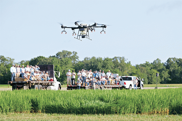 Attendees of the LSU AgCenter H. Rouse Caffey Rice Research Station’s 115th annual field day view a demonstration of a spray drone.