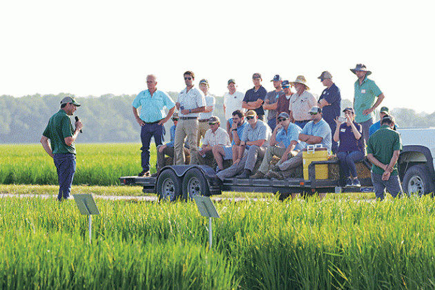 LSU AgCenter rice breeder Adam Famoso tells a trailerload of attendees about new rice varieties during the H. Rouse Caffey Rice Research Station’s 114th annual field day June 28. (Photos by Olivia McClure/LSU AgCenter)