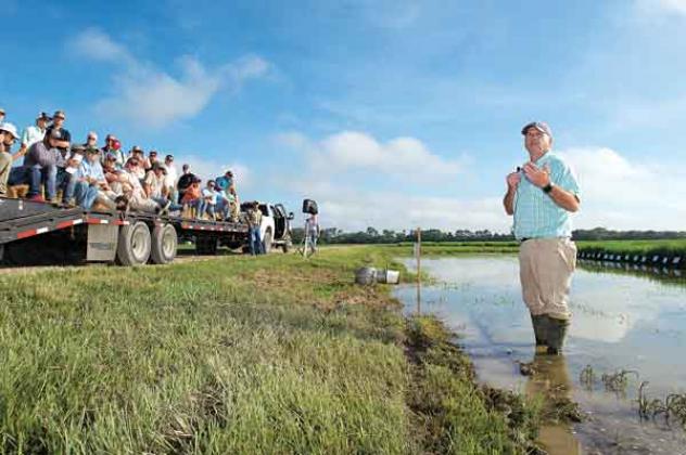 LSU AgCenter weed scientist Eric Webster
