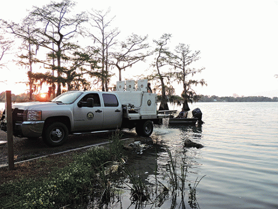 Fish stocking operation. (Louisiana Department of Wildlife and Fisheries photo)