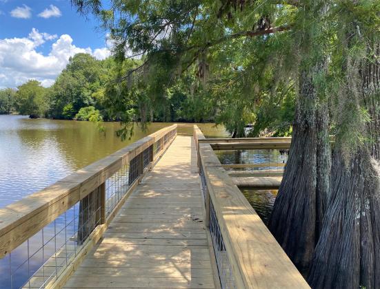 Fishing pier at Spring Bayou Wildlife Management Area. (Submitted photo)