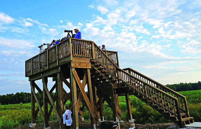 New observation tower on South Farm at Sherburne WMA. (Submitted photo)