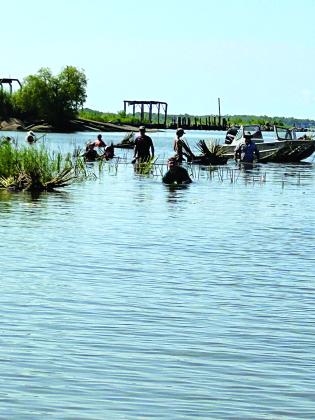 Eunice FFA members helped plant 7,000 plants that included 4,000 California Bulrush Plugs and 3,000 Giant Cutgrass Plugs along the Gulf Coast at Burn’s Point Launch in St. Mary’s Parish on July 25. The FFA members were Gavin Manuel, Caleb David, Abbigail Daivd, Lillie Dubroc, Elijah Aguillard, Rebecca Berzas, FFA sponsor, and her youngest son, Dane Berzas.  From left are Elijah Aguillard, Lillie Dubroc, Abbigail David, Gavin Manuel, a Louisiana Department of Wildlife and Fisheries agent, Caleb David, and an