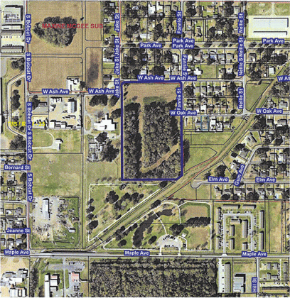 The defined area is property the city may buy located north of the Walking Park.