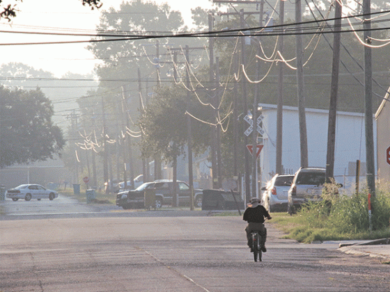 Early morning temperatures in the low 70s last week made riding a bicycle comfortable. This  bicycle rider was on East Vine Street at about 7 a.m. Wednesday. (Photo by Harlan Kirgan)