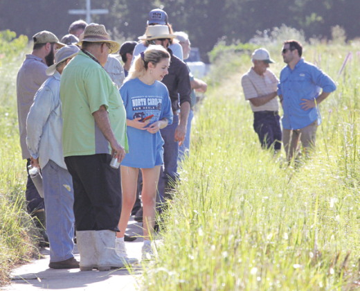About 20 people attended the summer meeting of the Cajun Prairie Habitat Preservation Society on Saturday. A tour was held at the 10-acre Eunice Prairie site. (Photo by Harlan Kirgan)