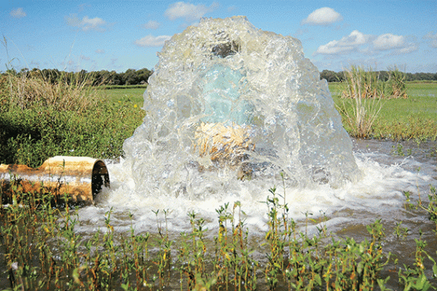 A field used for crawfish production is flooded. Some south Louisiana producers are concerned about salinity levels in their water, which have risen due to the drought this summer. This could pose problems when they flood fields in the coming weeks. (LSU AgCenter file photo)