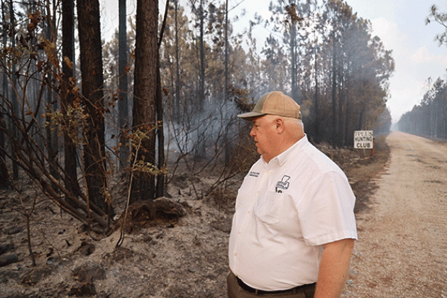Louisiana Agriculture Secretary Mike Strain views smoldering trees from a portion of the Tiger Island fire in Beauregard Parish on Aug. 23. (Jenn Finley/La. Dept. of Agriculture and Forestry)