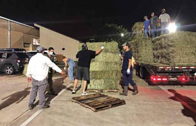 Volunteers help to distribute hay donated for livestock affected by Hurricane Ida. (Photo by Christine Navarre/LSU AgCenter)