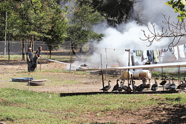 Eunice firefighters responded to a trash fire at about 11:35 a.m. Thursday in the 1200 block of La. 13 north. Two firefighters, Jeremy Faulkner and Blake Smith, are dousing the fire near pens for chickens, ducks and dogs. Eunice Fire Chief Chaise Brown said, “The city marshal cited the homeowner for illegal burning.” Brown offered a reminder that a burn ban is in place. Firefighters extinguished the trash fire in a few minutes. (Photo by Myra Miller)