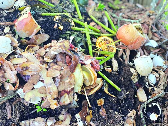 Composting kitchen scraps, yard waste and other organic materials not only reduces waste but also provides a nutrient-rich compost that can be added to the soil. (Photos by Heather Kirk-Ballard/LSU AgCenter)