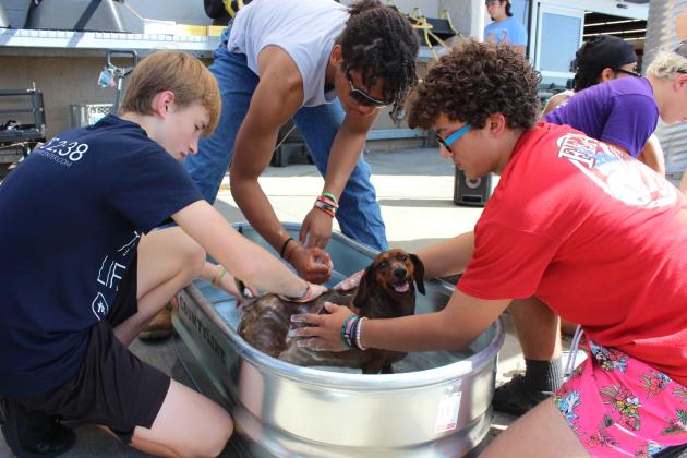 Flash, a 4 year-old male Dachshund, seems to enjoy a relaxing bath provided by Eunice High FFA members Weston Dubroc, left, Mason Wiley and Gavin Fontenot.