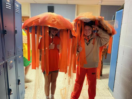 Two orange jelly fish seen at St. Edmund