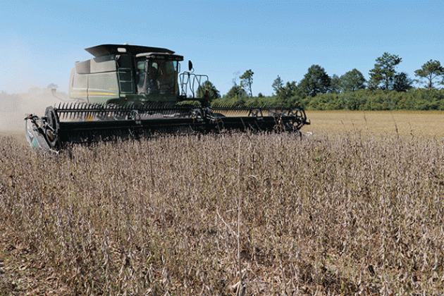 A soybean field being harvested. (Photo by Craig Gautreaux/LSU AgCenter)