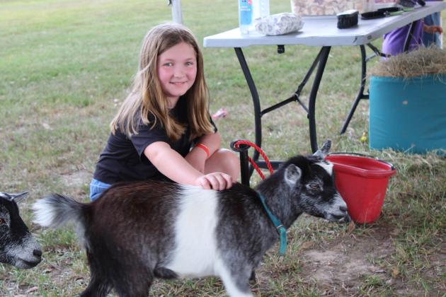 Kynlee Thompson, 10, from Belle City, pets a 10-month-old baby goat “Cree” at the Petting Zoo on the grounds of St. Thomas More Catholic Church during its annual church bazaar.