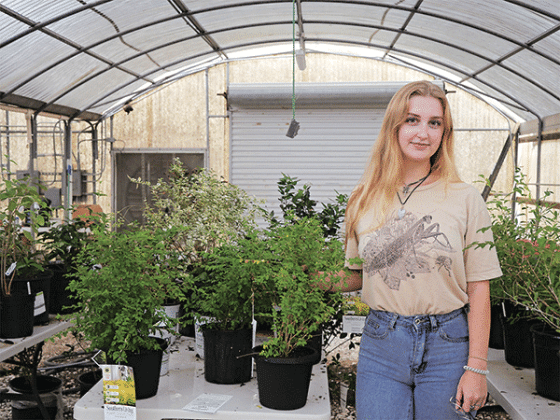 LSU graduate student Brandi Misiaszek standing around different privets and ornamentals that she has used to study the habits of the ligustrum weevil at a greenhouse at the LSU AgCenter Doyle Chambers Central Research Station. Photo by Anthony Bailey/LSU AgCenter