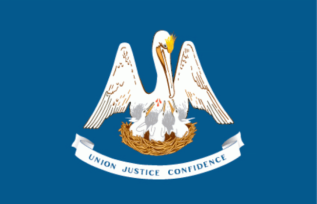 Louisiana’s state flag.