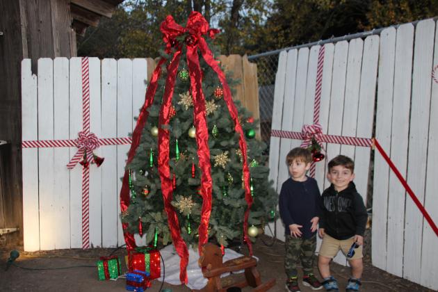The Mouton brothers at the Christmas tree