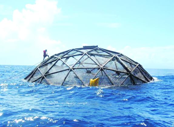 An aquaculture cage floats in the Caribbean Sea near Puerto Rico. (NOAA)